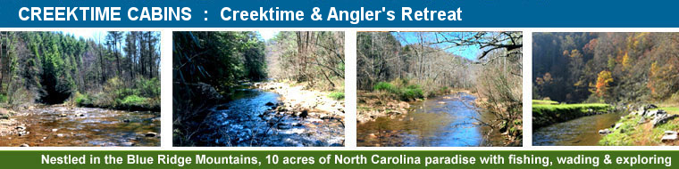 Creektime Cabins, Angler's Retreat Cabin Rental